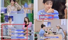 小玫玫前男友爆料视频,揭秘昔日恋情真相